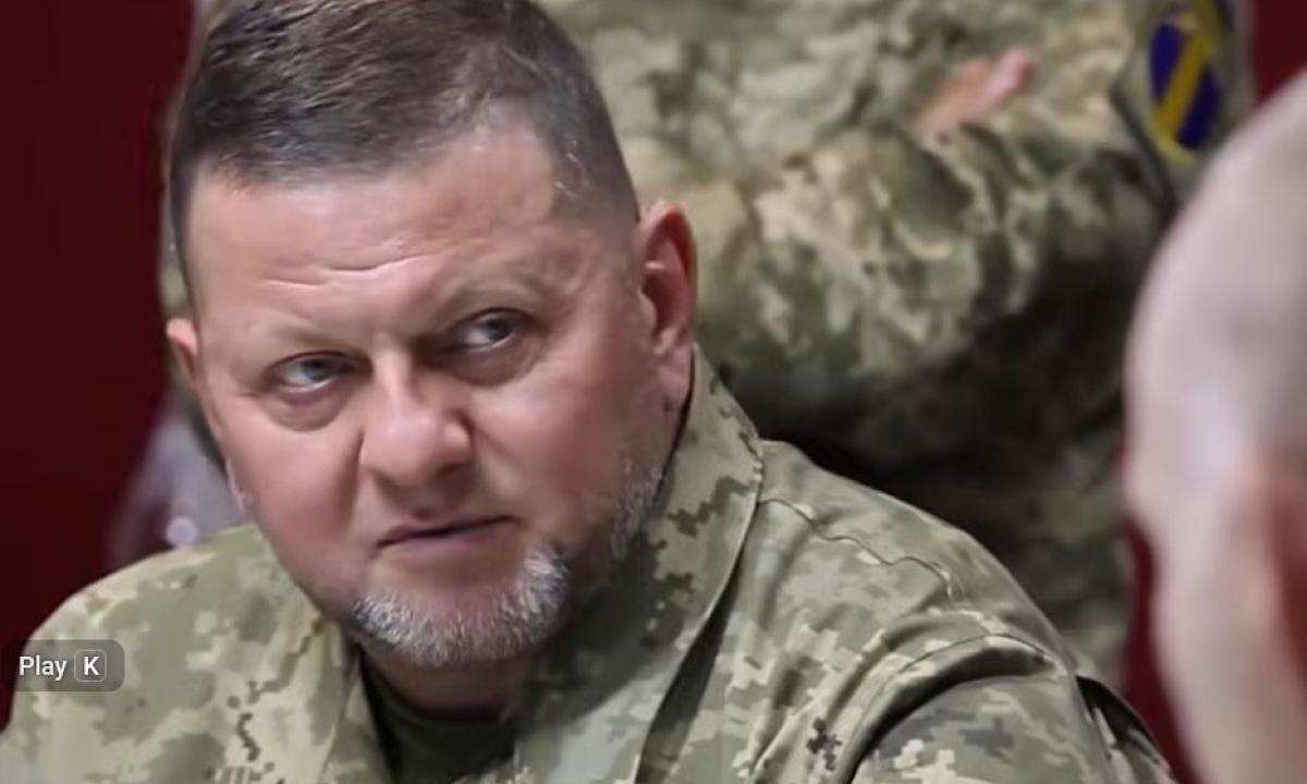 Slaptas Zelenskio ir Zalužno susitikimas iškilo į viešumą: politinis sprogimas