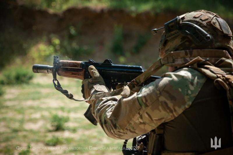 Ukrainos karys