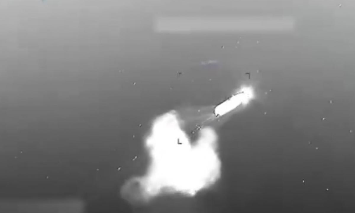 Jie ilgai slapstėsi. Dabar pasitaikė proga ir jie vėl siautėja (Video)