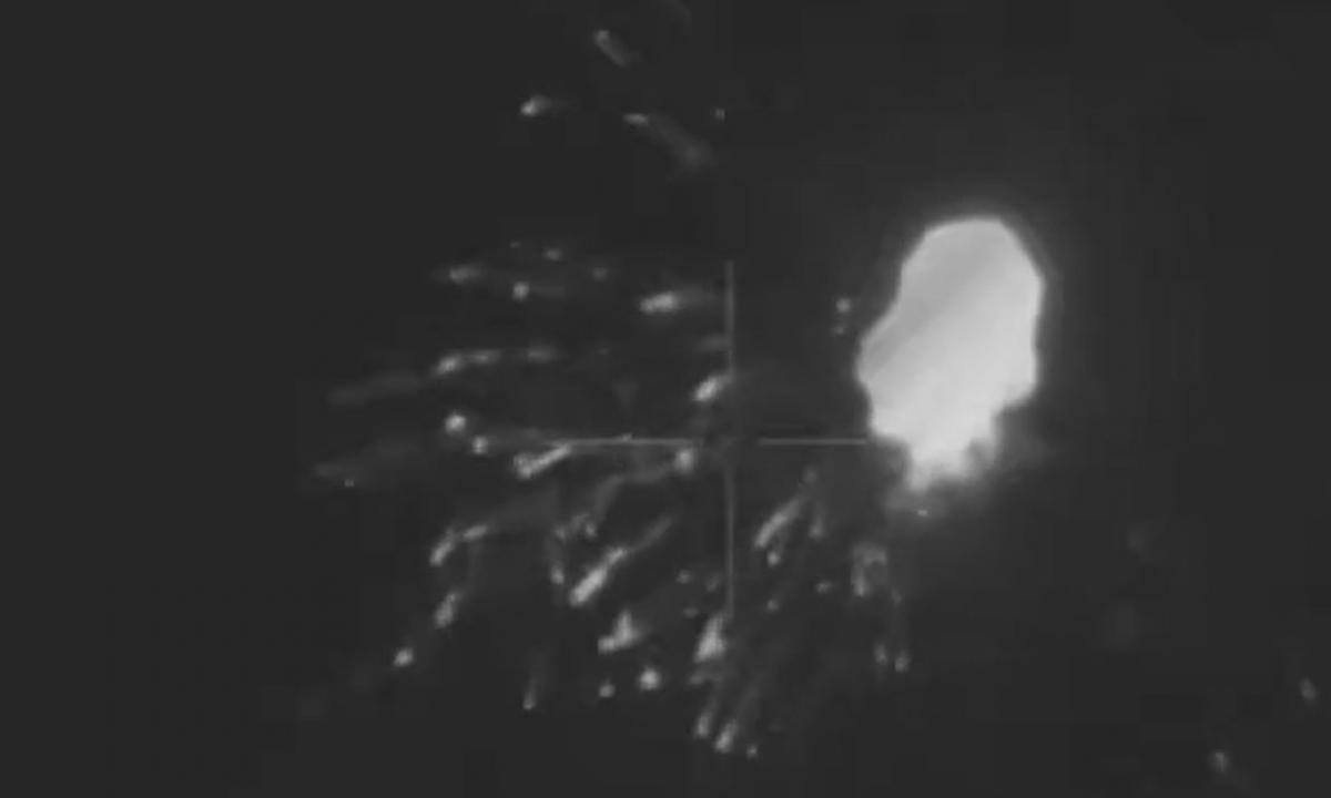 Retas vaizdas. Ukraina turi prašymą 40 šalių (Video)