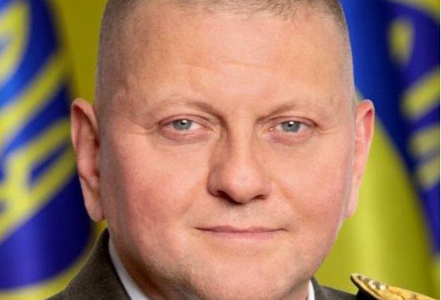V. Zalužnas