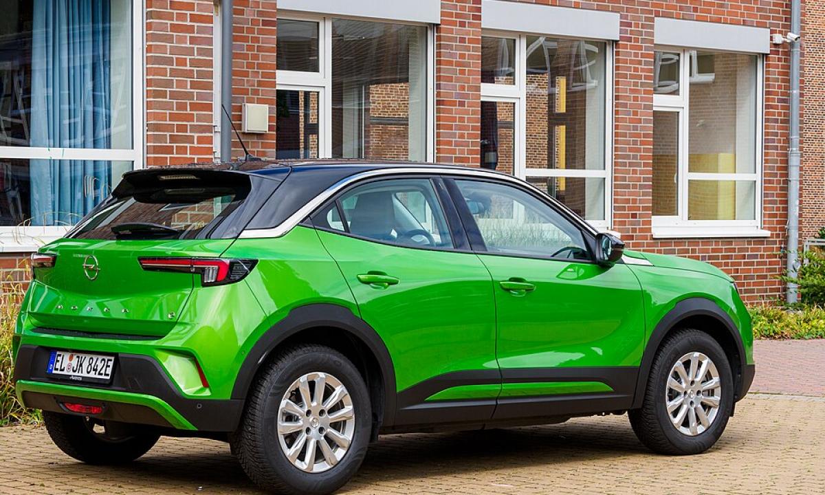 Elektromobilis dirbtuvėse 7 mėnesius – moteris padavė automobilių pardavėją į teismą