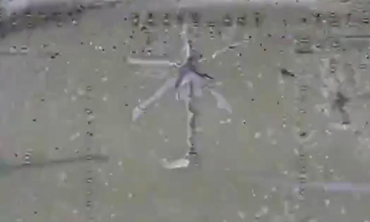 Koks laimikis! Labai svarbu, kur šis paukštis buvo pagautas (Video)