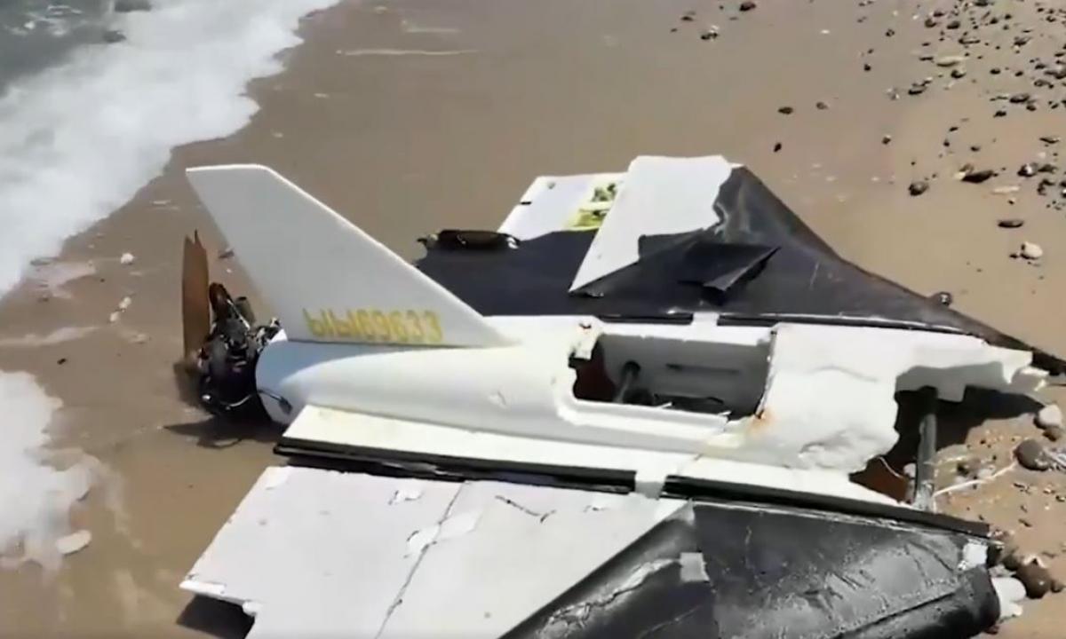 Tiesiai paplūdimyje! Skubiai iškviesti išminuotojai (Video)