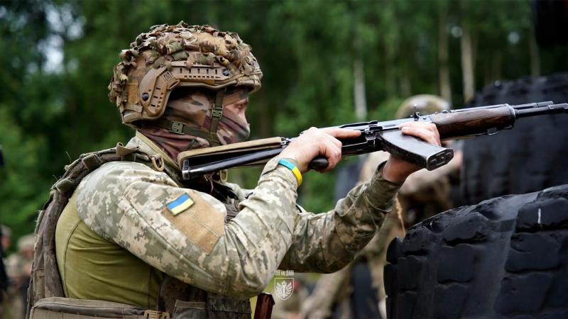 Ukrainos karys