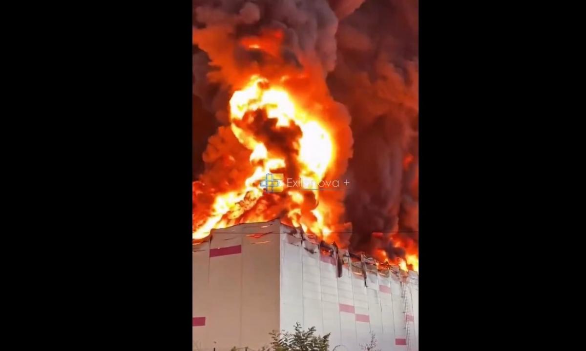 „Neturiu žodžių.“ Rusijos reakcija po didžiulės Ukrainos atakos (Video)
