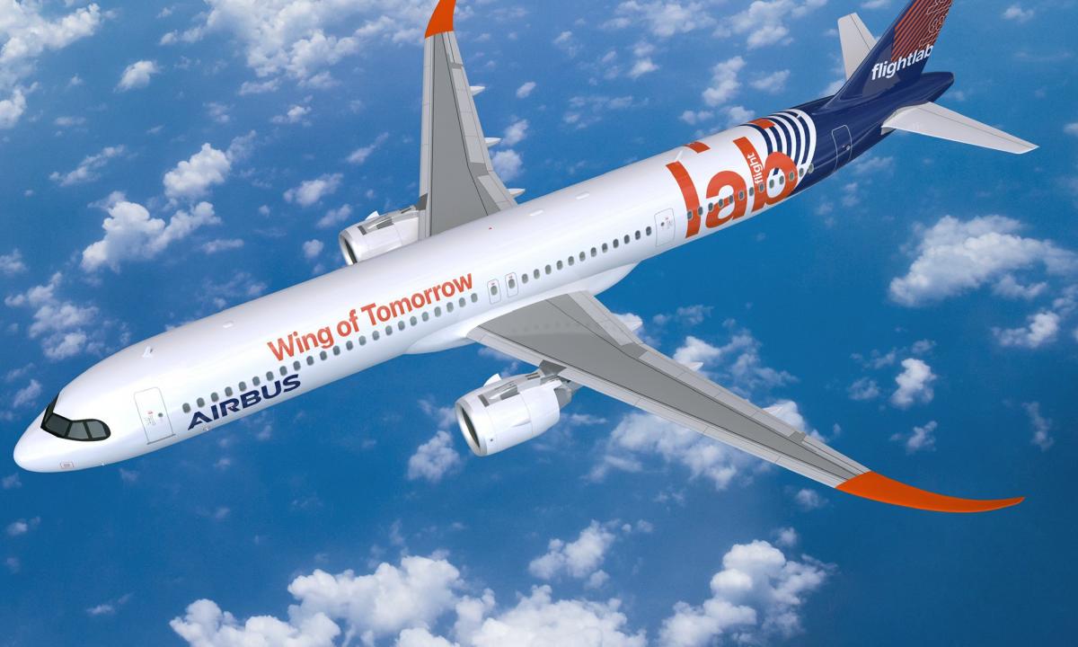 Žuvėdros formos sparnai. „Airbus“ išbando novatorišką sprendimą (VIDEO)