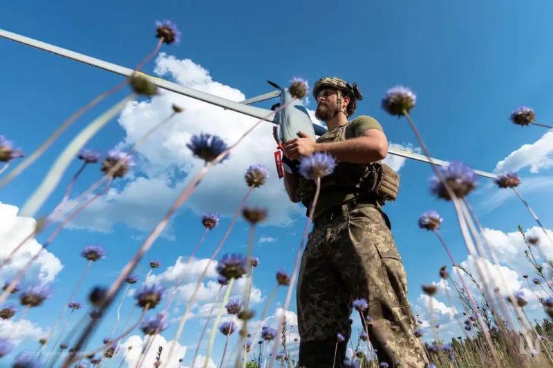 Ukrainos karys