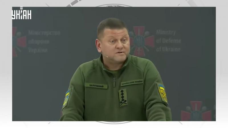 V. Zalužnas