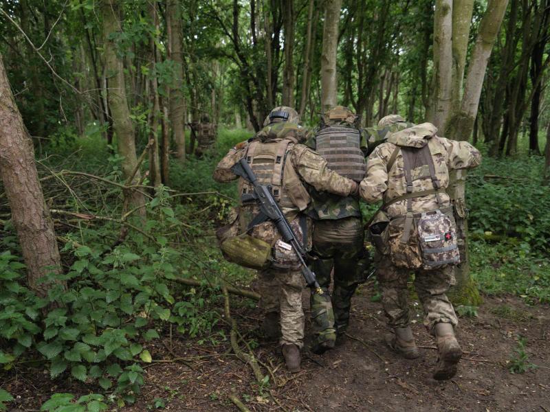 Ukrainos kariai