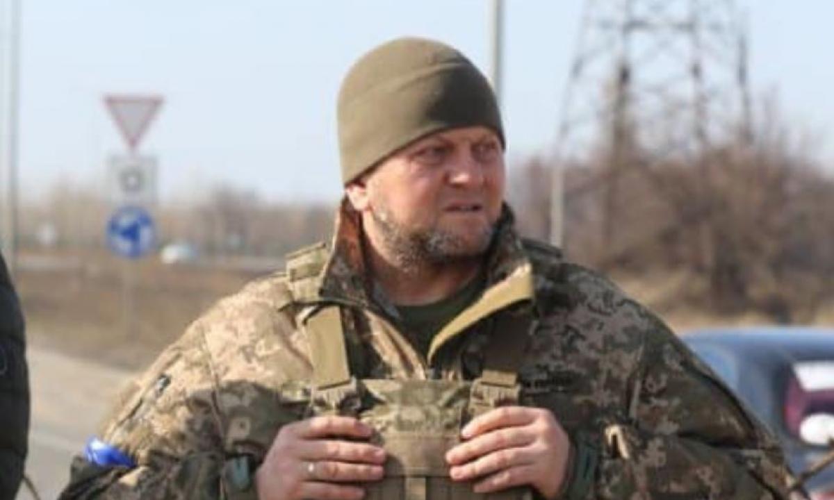„Girdėjau tik pasakas“: Zalužnas paaiškino, kodėl Ukraina nebus NATO 